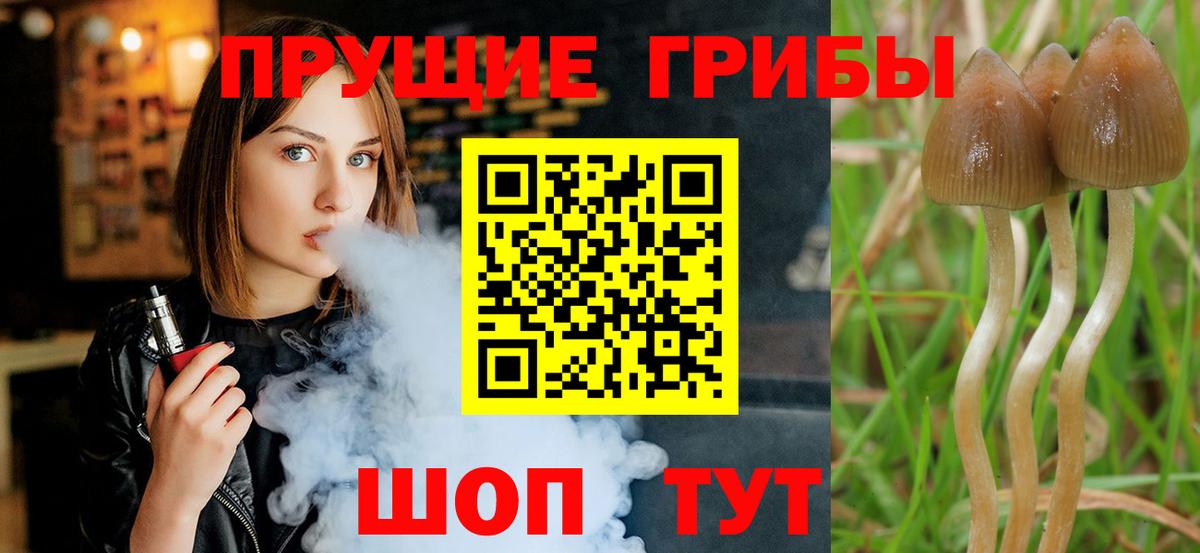 Псилоцибиновые грибы мицелий  Псилоцибиновые грибы ЛСД  Коряжма  Вход с VPN 